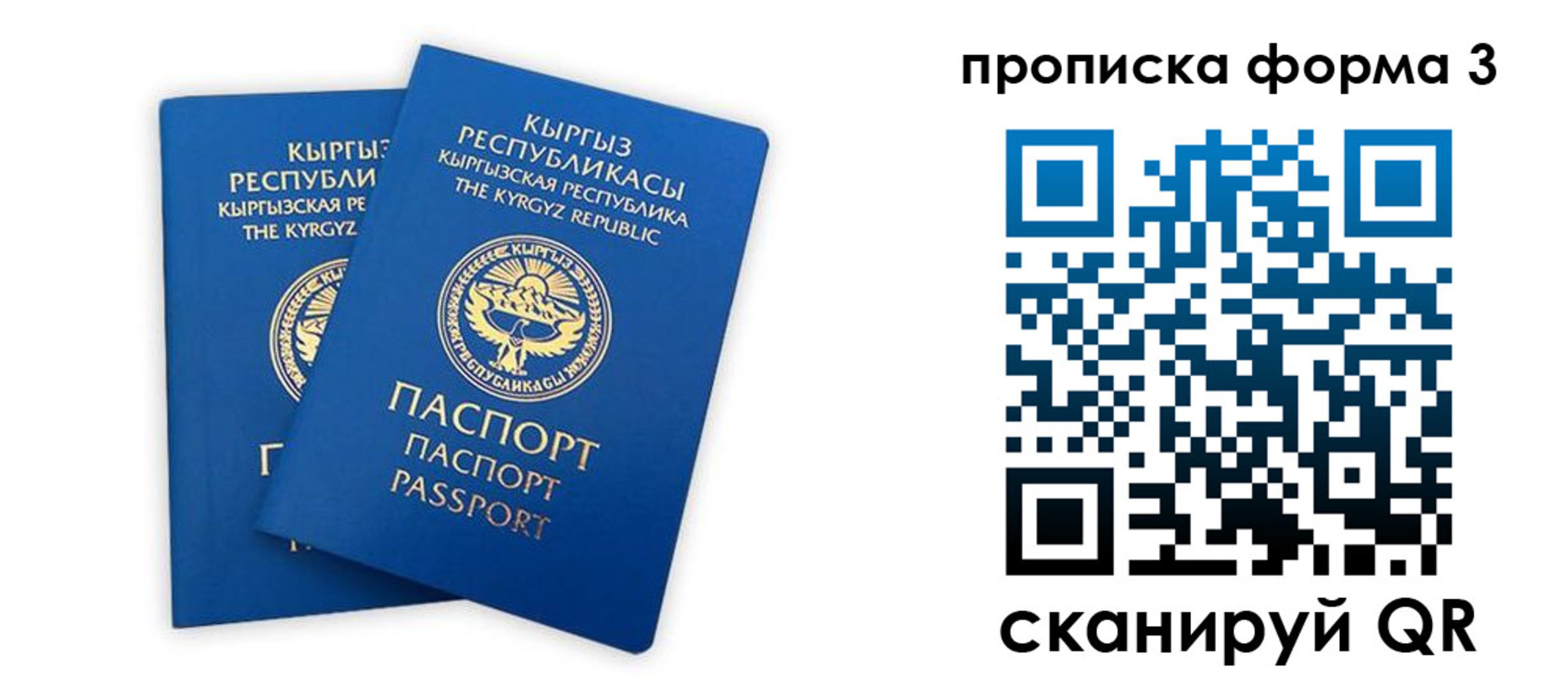 регистрация для дет. сада в Петропавловске-Камчатском